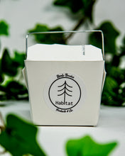 Load image into Gallery viewer, Mini Bath & Shower Bombs, Eco-Box